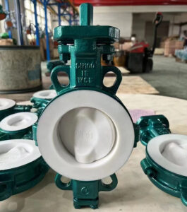 Butterfly valve 15