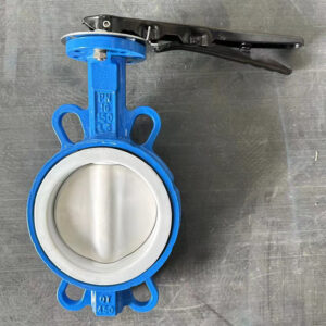 Butterfly valve 17